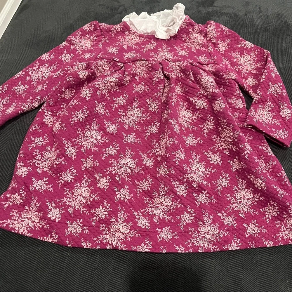 Janie and Jack Berry Floral Long-Sleeve Dress with Ruffled Collar